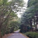 오서산자연휴양림 이미지