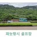 세븐스타 Daum카페