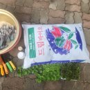 생극어린이집 이미지