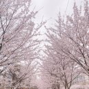 으뜸요양원 이미지