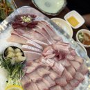 비타민 수산 세꼬시 | 신림 대방어 맛집 비타민수산 대방어특 메뉴 지돈지산산