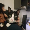 아이봄동물병원 이미지