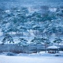 설국농장 이미지