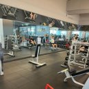 더뉴 바디스미스 명지점 이미지