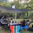 금원수목원수영장 이미지