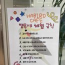 하버드앵무새카페 이미지
