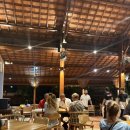 오드리 독 이미지