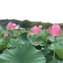 아침에 엔진오일 교환하고 공주 신풍 청양 은산 부여 논산 계룡시120Km 이미지