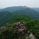 청화산골 이미지