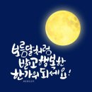 (주)드림하이투어