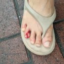 D00200 | D+2 스리랑카) 콜롬보-아누라다푸라 가는 법+ 가다가 길 새서 윌탐푸 국립공원 가게됨