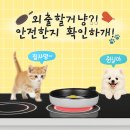 서울앤 동물병원 이미지