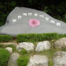 장미화원 이미지