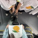 더조은피자치킨 | 제주는 차 필수: 4월 제주 여행2