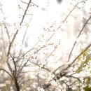 부평꿈나무 교통나라(영성동로18번길 51) 이미지