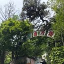 서울숲참숫가마사우나 | 서울 한복판에 야외 숯가마가 있다고? [숲속한방랜드] 내돈내산 후기