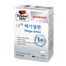 주식회사메가브릿지 네이버블로그