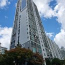 분당-133 이미지