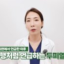 플란트열 이미지