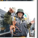 백호피싱