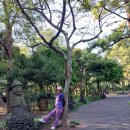 동행 72. 제주여행 1일째 – 한담해안산책로 – 한림공원 - 산방산탄산온천 이미지