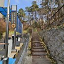 충효입구 삼거리 이미지