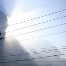 차령농장 이미지