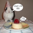 11월끝났다