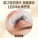 꼼꼼왁싱 | 압구정속눈썹 꼼꼼래쉬 추천 led속눈썹연장 후기