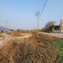 삼거리천곡고인돌 이미지