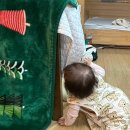 가인야영장 | 국립 야영장 가인 야영장 후기