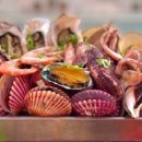 지금조개 이미지