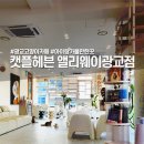 캣플헤븐 앨리웨이 광교점 네이버블로그