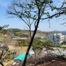 반포초교병설유치원 이미지