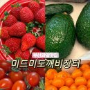 미드미도깨비장터 - 해운대구 해운대로76번길 40 | 부산 과일 맛집, 당일 경매 상품 당일 판매 / 신선하고 저렴한 과일가게 ‘미드미도깨비장터 시청점’