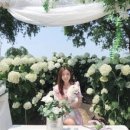 운암애견 이미지