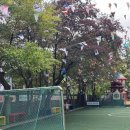 수인사유치원 이미지