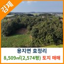 용지면사무소 이미지