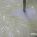 상표목장 이미지