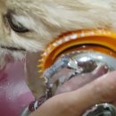 개편하개 이미지