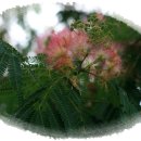 팔봉농장 이미지