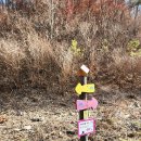 운장산 넘는길 이미지