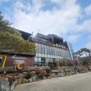 뉴소나무집 이미지