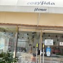 코지피다(COZYFIDA) 이미지