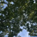 호두마루 캠핑 | 구임우의 우행시 가을 캠핑 🍁⛺ (ft. 양주탑글램핑)
