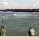 자자민박 이미지