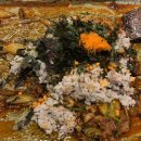 장단마루오리 이미지