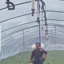 이충구농장 이미지