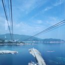 천년나무꿈작은도서관 | 아빠와 아들의 단짝 여행: 용인에서 출발하는 전국구 추억 설계 후기