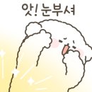 나투라에스테 이미지
